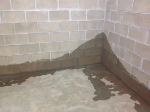 StayDry® Releases Guide on Methods to Address Leaky Basements for Michigan Homeowners